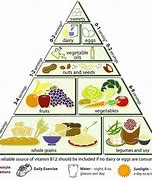 Image result for Vegetarian Person