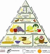 Image result for Plant-Based Diet Weight Loss