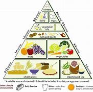 Image result for Vegetarian Diet Food Pyramid