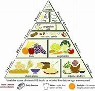 Image result for What Does a Vegan Diet Consist Of