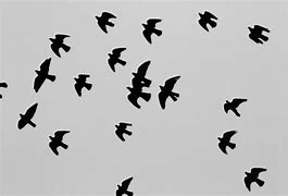 Image result for Simple Black and White Drawings Galaxy