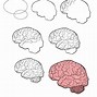 Image result for Easy Drawing of a Brain