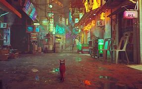 Image result for Stray Game Is Very Cozy