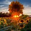 Image result for Lock Screen Wallpaper of Sunflowers