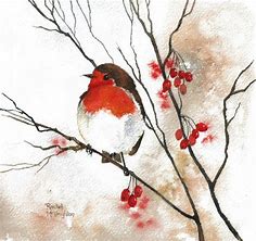 Watercolor bird, Bird art, Bird drawings