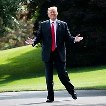 Image result for Trump Side View