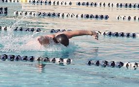 Image result for Swimming Body Balance On Back