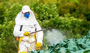 Image result for Plant Pesticides