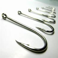 Image result for Heavy Duty Hooks 1,000 Pounds