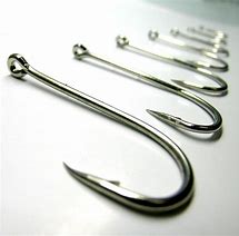 Image result for Fishing Hook Pic