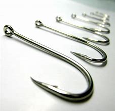 Image result for Fish Hook Images