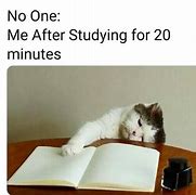 Image result for Studying Meme Template