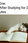 Image result for Study Memes Funny