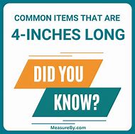 Image result for Things That Are 4 Inches Long