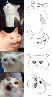 Image result for Cute Cat Meme Drawing