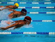 Image result for Swimming Sport