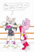 Image result for Rouge vs Amy Fight