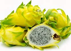 Image result for Yellow Dragon Fruit