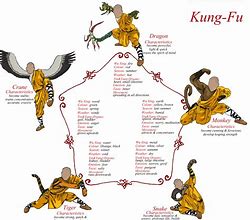Image result for Kung Fu Animals