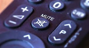 Image result for Remote Mute Button