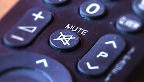 Image result for Mute Button On Remote