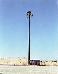 Image result for Cell Tower Camouflage