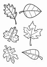 Image result for Feuille Coloriage