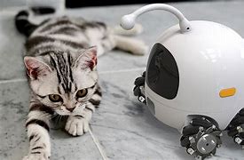 Image result for domestic robotic pet