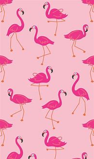 Image result for Preppy Flamingo Wallpaper
