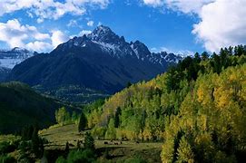 Image result for Trees to Mountains From Above