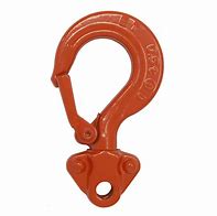 Image result for Chain Block Hook