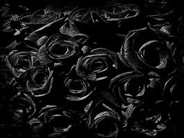 Image result for Gothic Black Roses