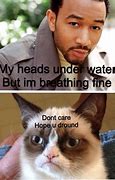 Image result for Cat Crying Meme Shower