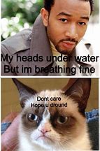 Image result for Funny Animal Jokes