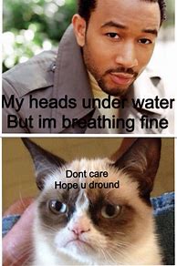 Image result for Sad Kitty Meme