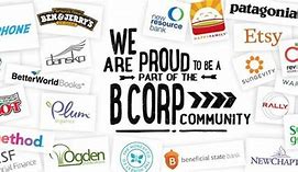 Image result for B Corp Model
