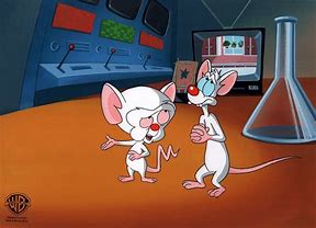 Image result for Pinky and the Brain and Danger Mouse