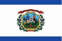 Image result for WV State Flag