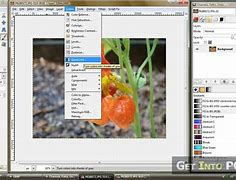 Image result for GIMP Download