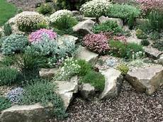 creare un giardino roccioso come creare un giardino roccioso garden home idee creare un giardino roccioso come creare un giardino roccioso garden home idee