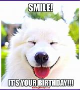 Image result for Cute Baby Animal Happy Birthday Meme
