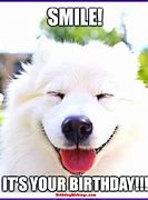 Image result for Cute Animal Birthday Memes
