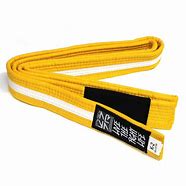 Image result for Yellow White Belt Jiu Jitsu