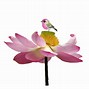 Image result for Lotus Animation
