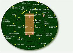 Image result for Cricket Team Positions