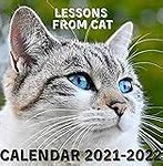 Image result for My Bad Cat Meme