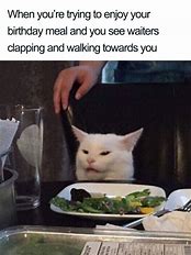 Image result for Cat Meme Stop Yelling