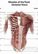 Image result for Parts of ABS