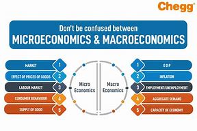 Image result for what is the difference between macroeconomics and microeconomics