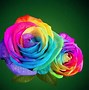 Image result for Black Background Rainbow Flower